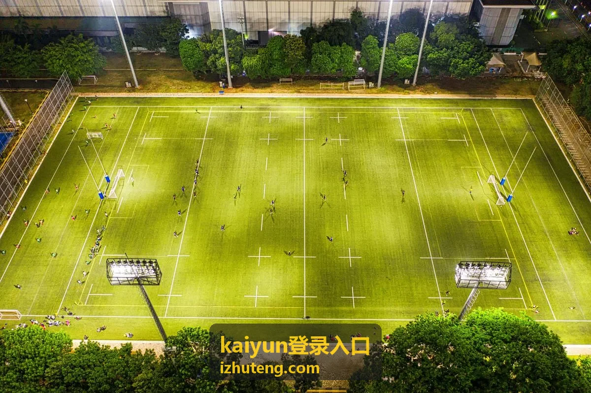 kaiyun登录入口登录页面示意